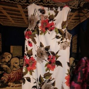 cocktail sleeveless dress